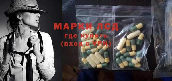 хмурый Арсеньев