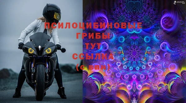 хмурый Арсеньев