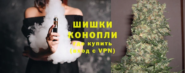 хмурый Арсеньев