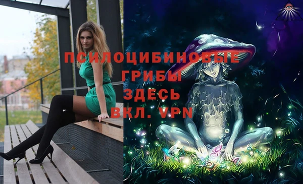 меф Армянск