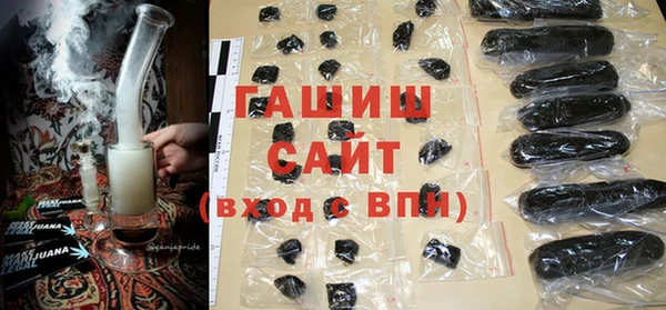 хмурый Арсеньев