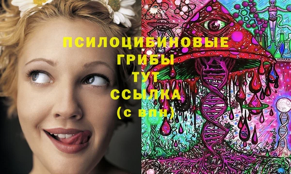 хмурый Арсеньев