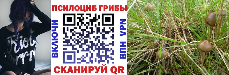 Галлюциногенные грибы ЛСД  закладка  hydra как зайти  Урюпинск 