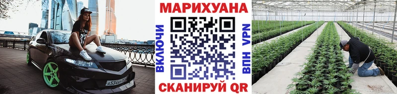 KRAKEN ONION  Урюпинск  Бошки Шишки SATIVA & INDICA 